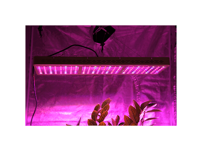 Mars Hydro LED Grow Light Reflector 144 294w