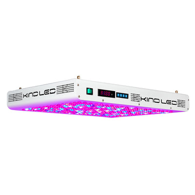 Kind LED K5 Series XL1000 LED